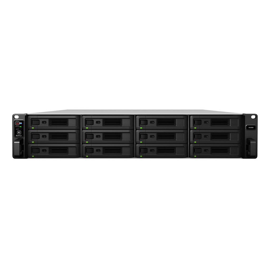 Synology SA3600 all in one 12Bay 2U NAS